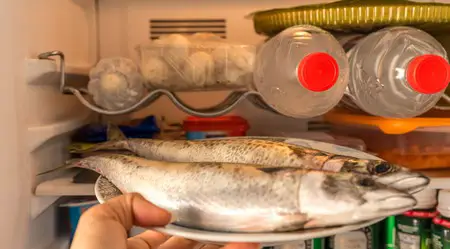 How Long Can You Keep An Ungutted Fish In The Fridge? - Begin To Fish