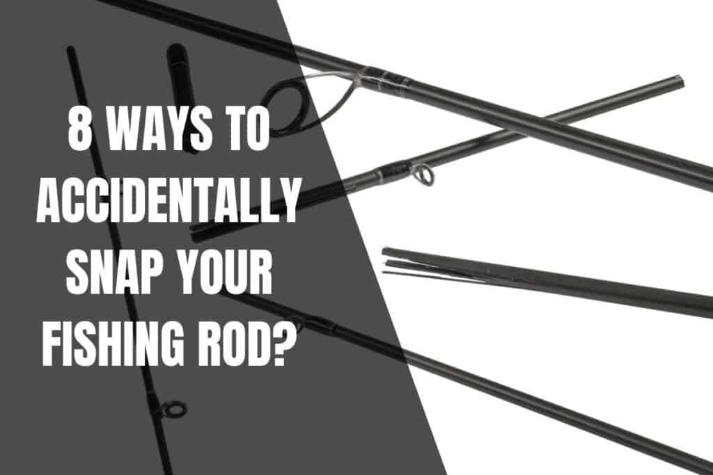 8 Ways To Accidentally Snap Your Fishing Rod? Begin To Fish