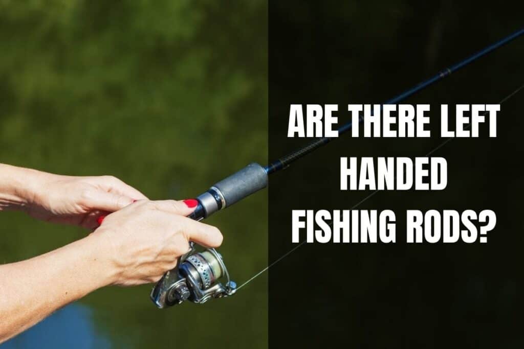 Are There Left Handed Fishing Rods? Begin To Fish