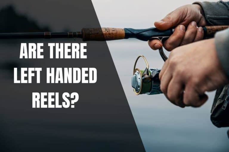 Are There Left Handed Reels? Begin To Fish