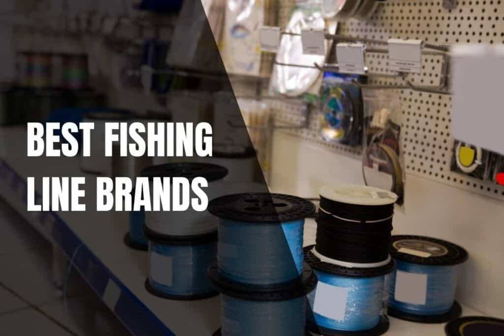 What Are The Best Fishing Line Brands? Begin To Fish