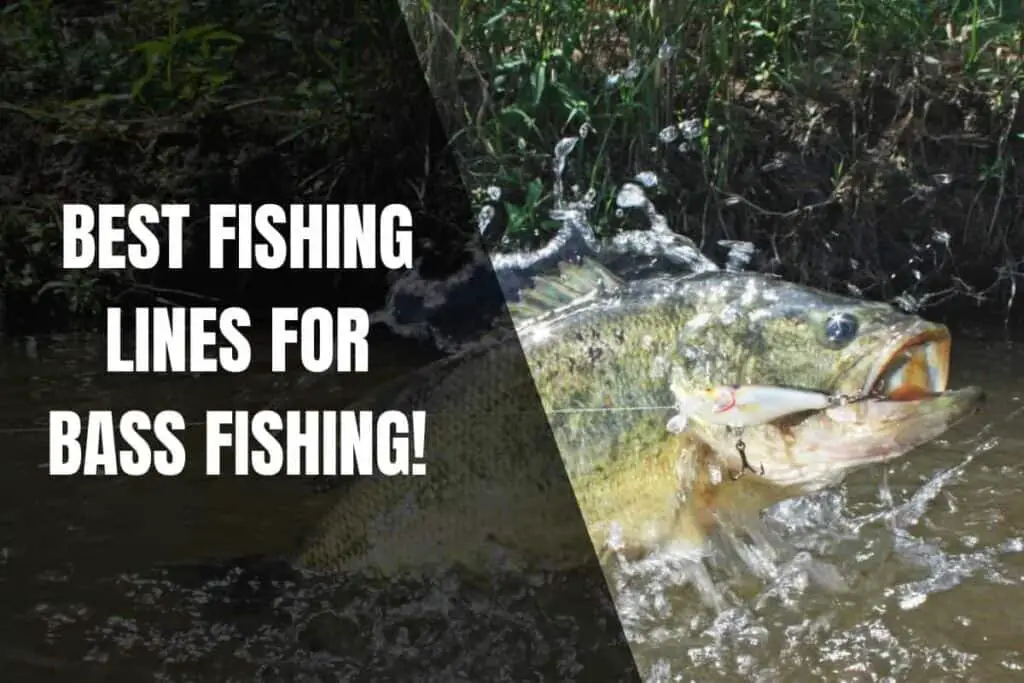 9 Best Fishing Lines For Bass Fishing Begin To Fish