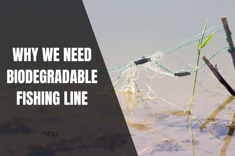 Biodegradable Fishing Line