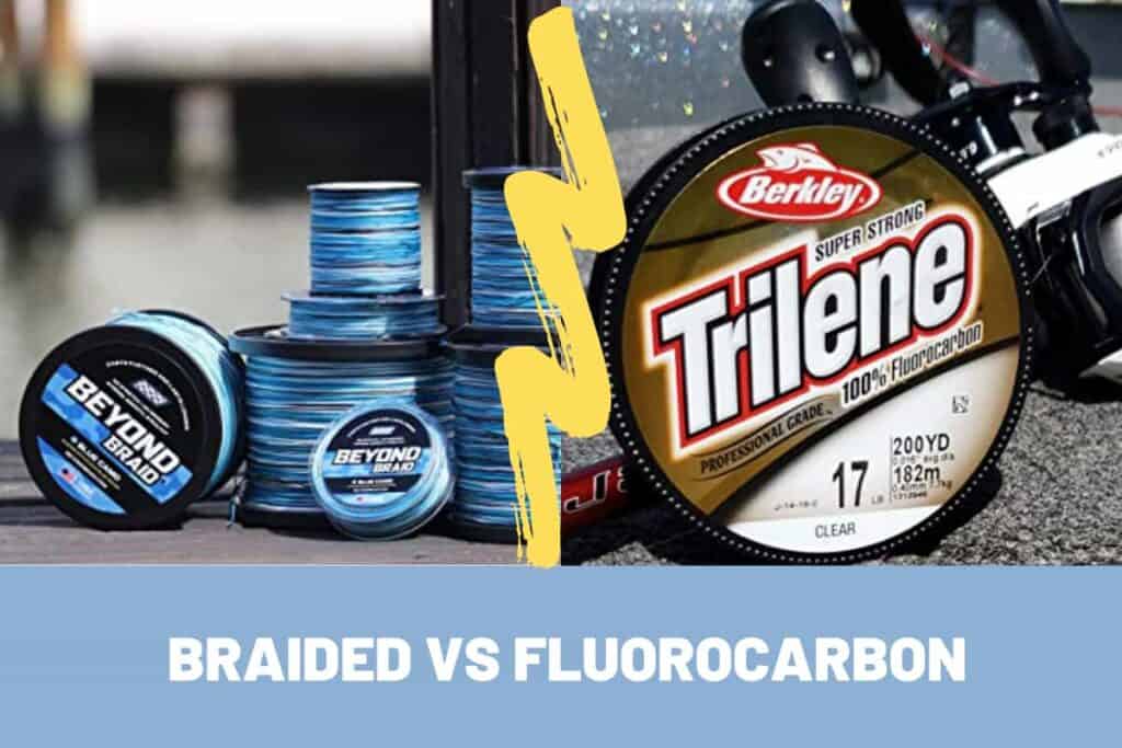 Braided Lines Vs Fluorocarbon Lines What Is The Better Choice? Begin To Fish