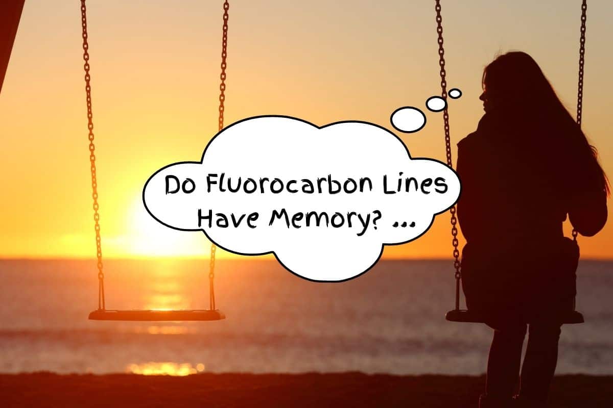 Do Fluorocarbon Lines Have Memory