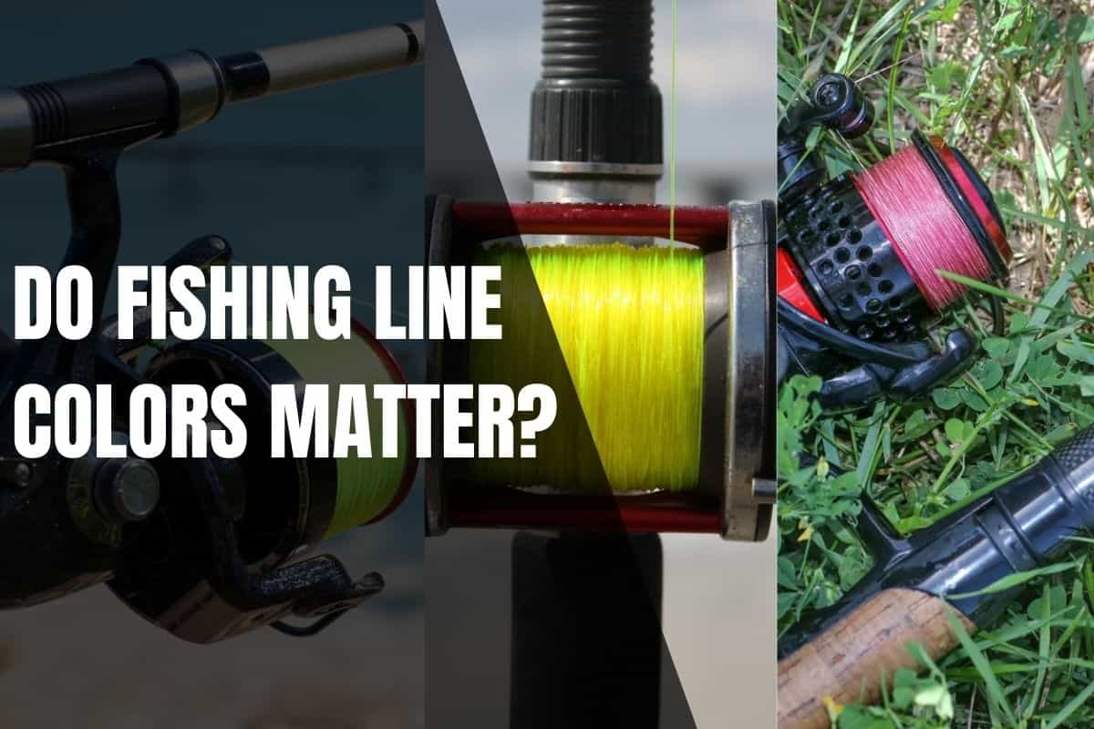 Does Your Fishing Line Color Matter? - Begin To Fish