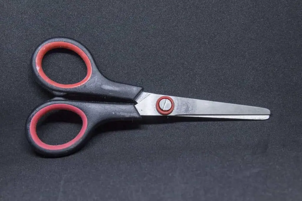 6 Best Ways To Cut Braid Fishing Line Begin To Fish