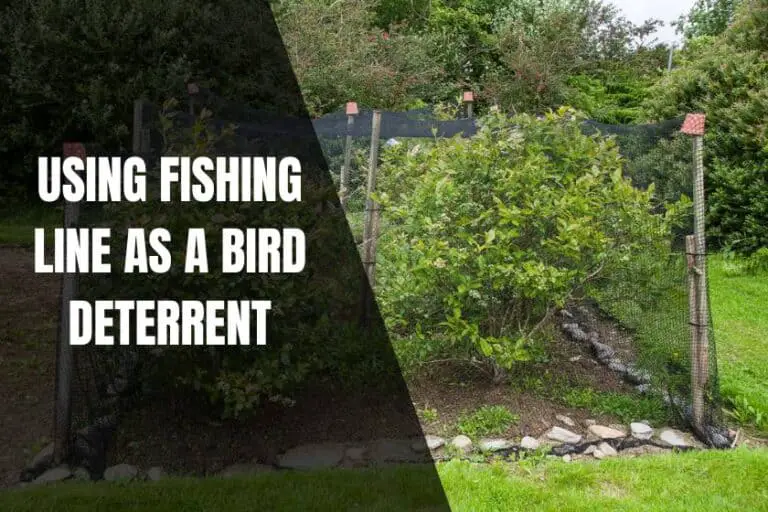 fishing line bird deterrent