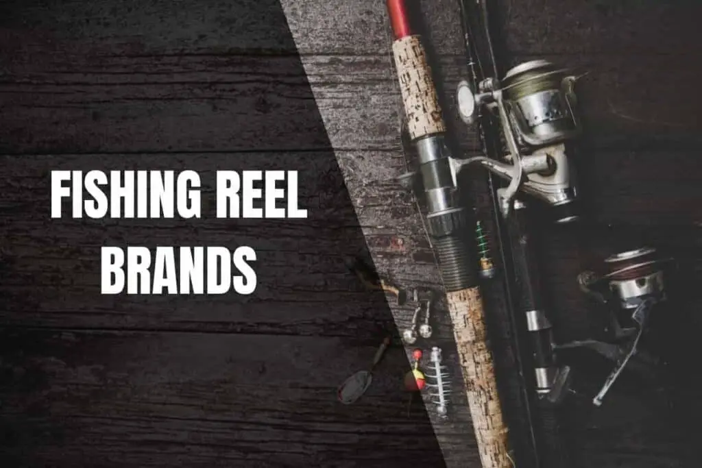 The Best Fishing Reel Brands In The Market Begin To Fish