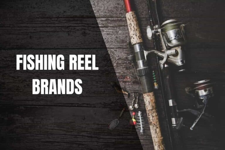 The Best Fishing Reel Brands In The Market Begin To Fish