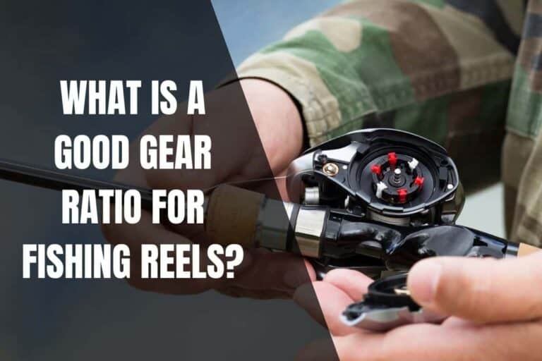 What Is A Good Gear Ratio For Fishing Reels? Begin To Fish