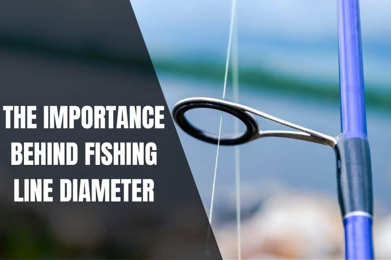 Fishing Line Diameter