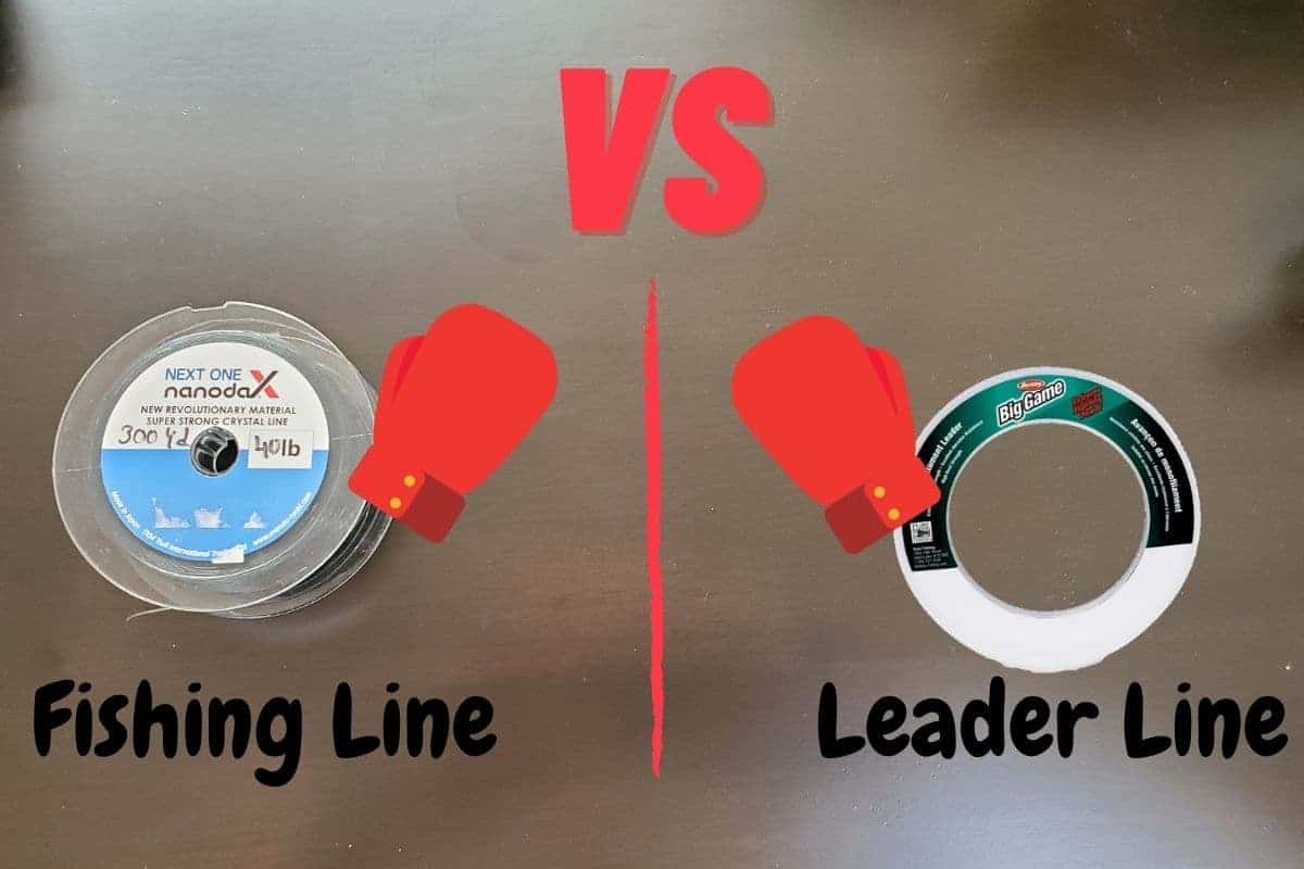 Fishing vs Leaders