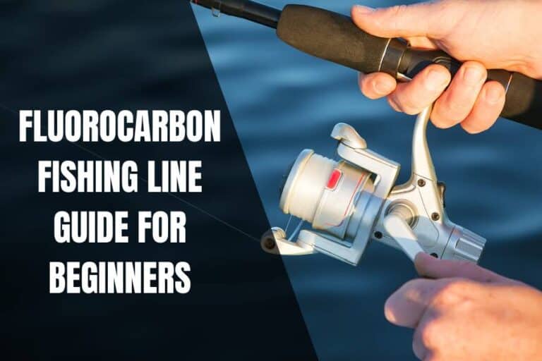 Fluorocarbon Fishing Line Guide For Beginners Tips And Tricks For