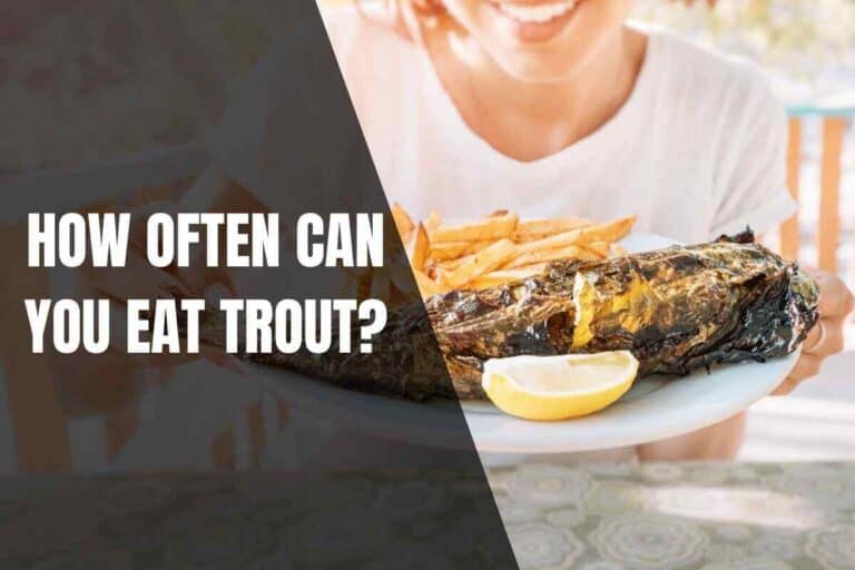 How Often Can You Eat Trout? Begin To Fish