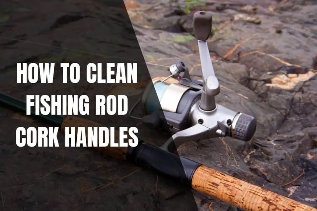 How To Clean Fishing Rod Cork Handles Begin To Fish