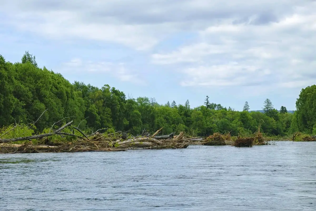 This image has an empty alt attribute; its file name is Lake-with-trees-on-shoreline-Large.jpg