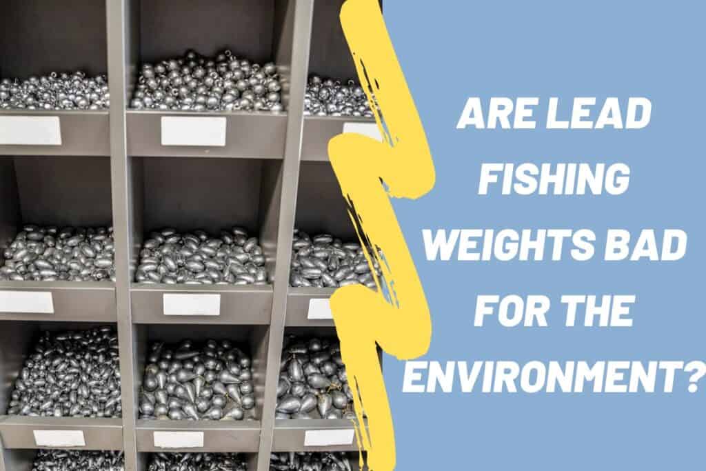Are Lead Fishing Weights Bad For The Environment? Begin To Fish