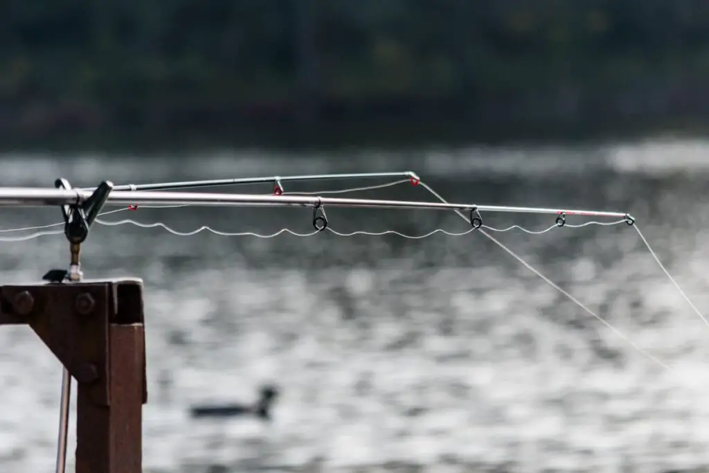Which Monofilament Line Has The Most / Lowest Amount Of Memory? Begin To Fish