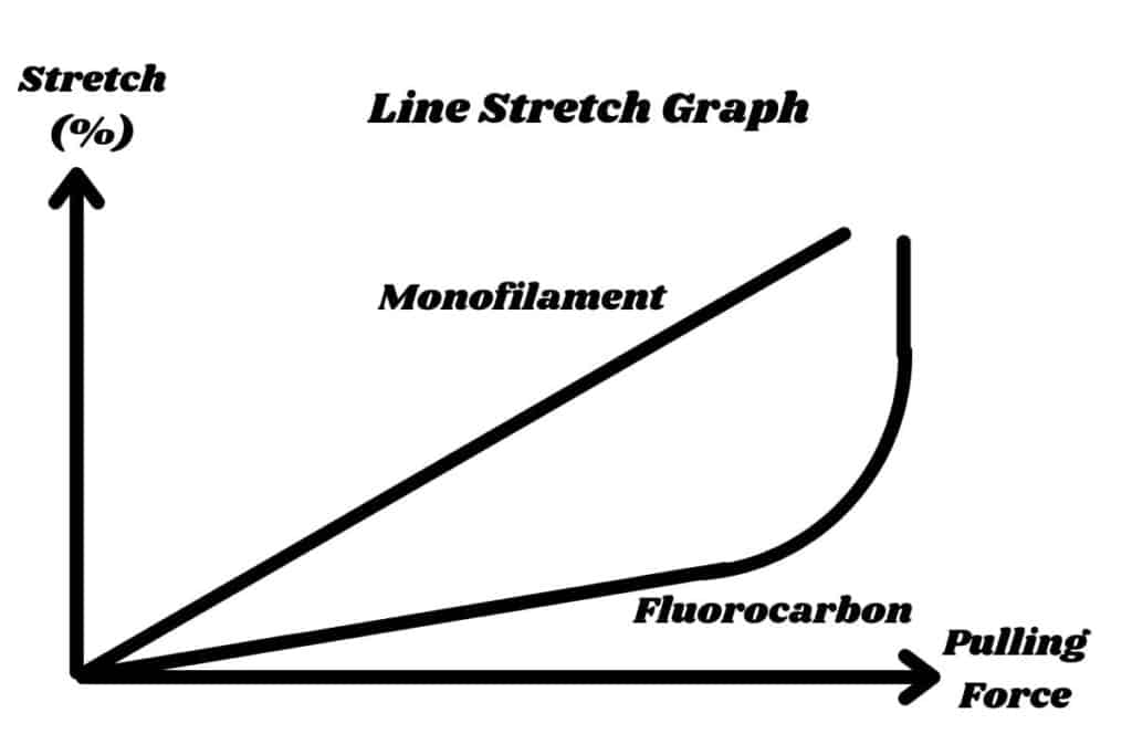 Fishing Line Stretch What You Need To Know! Begin To Fish