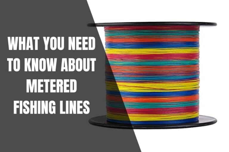 Metered Fishing Line The Ultimate Guide To Precision Angling Begin