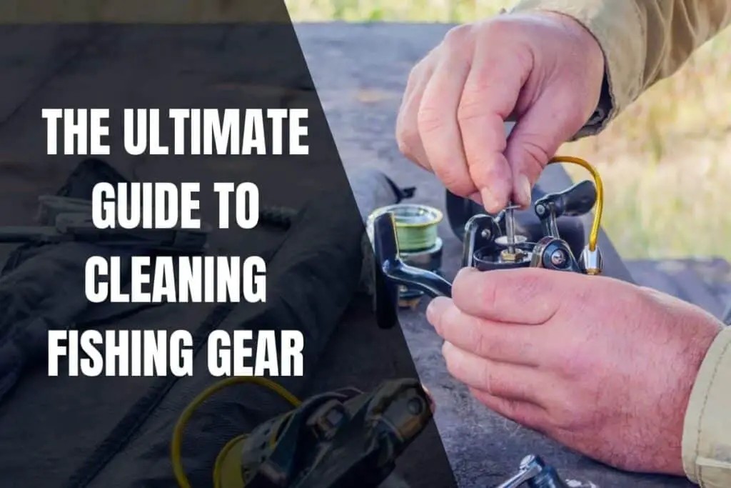 The Ultimate Guide To Cleaning Fishing Gear Begin To Fish