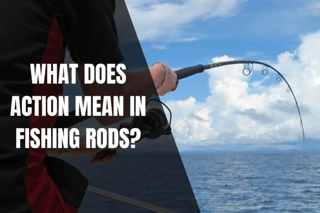 What Does Action Mean In Fishing Rods? Begin To Fish