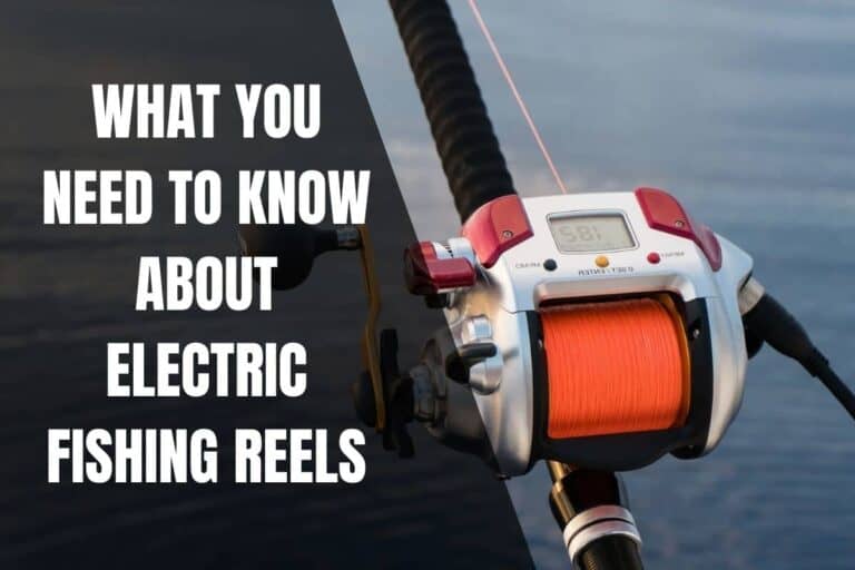 What You Need To Know About Electric Fishing Reels Begin To Fish