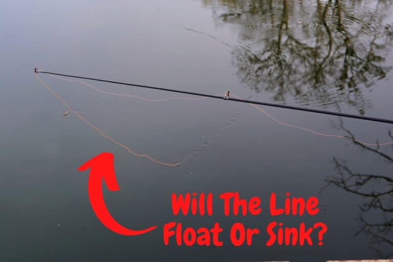 Will A Fishing Line Sink Or Float? (An Engineer Explains!) Begin To Fish